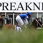 preakness bet